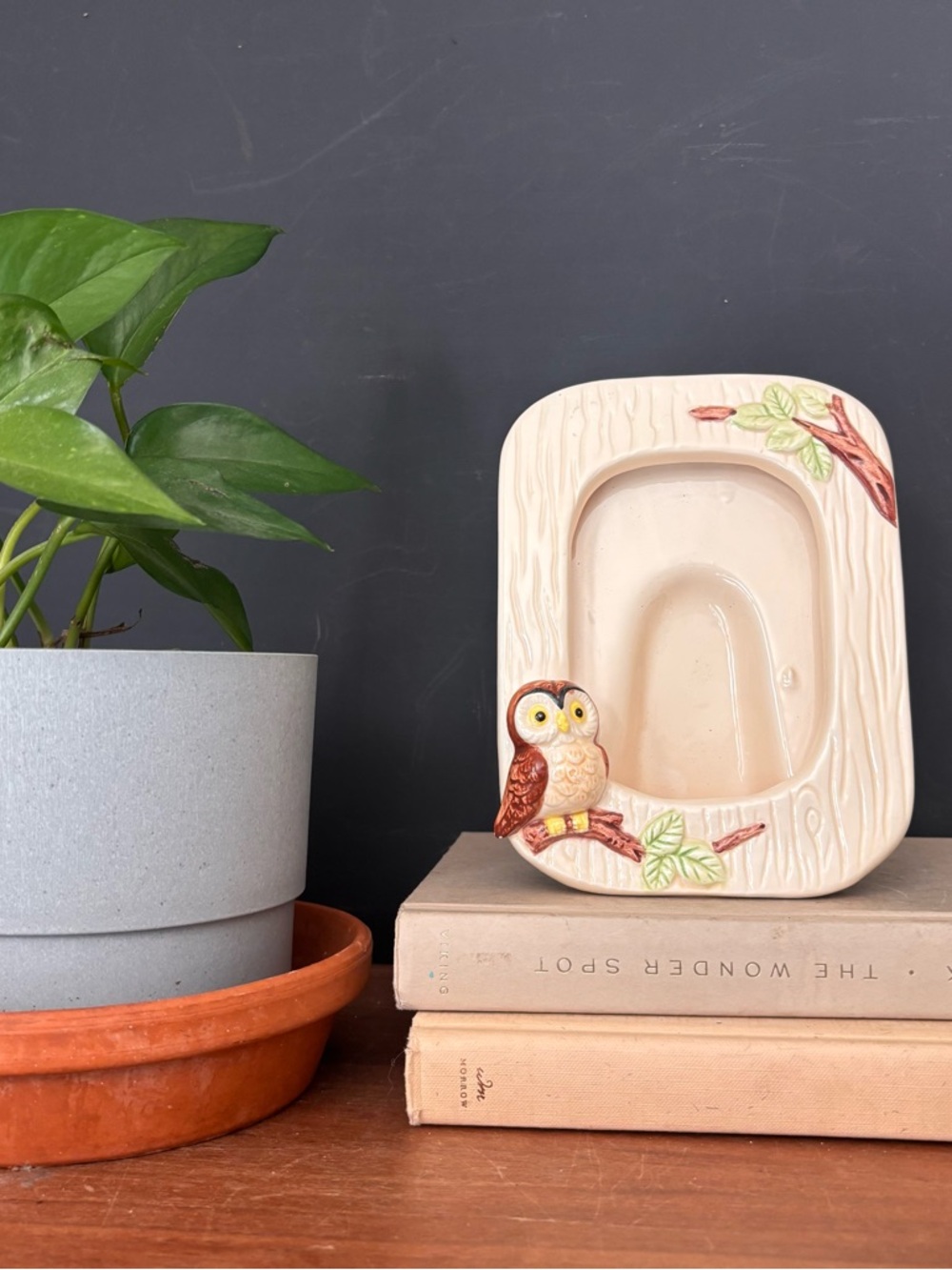 Vintage Ceramic Owl Picture Frame in Cream and Brown